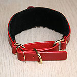 Buckle Martingale