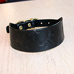 Buckle collar with dragonflies (2 inch wide)