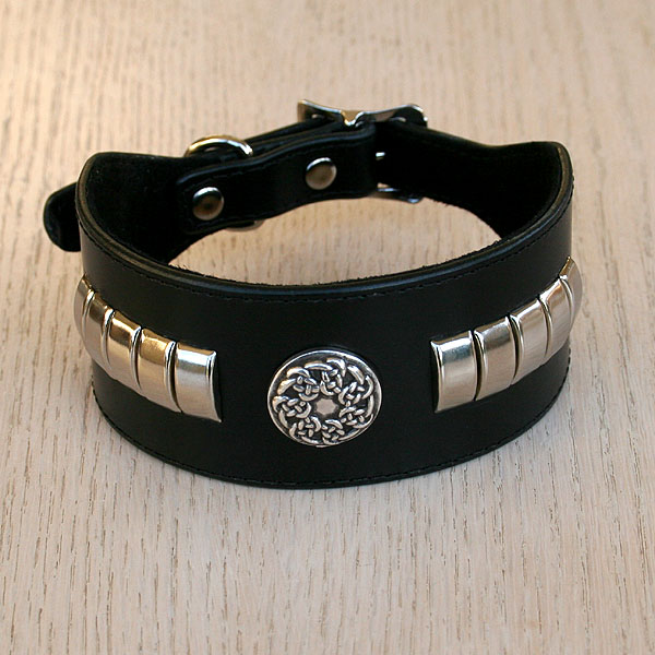 Celtic Metal buckle collar (2 inch wide)