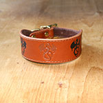 Buckle Collar Painted Dragons