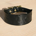 Buckle collar with dragonflies