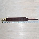 RTB Each Way Skulls Buckle Collar (2 inch wide)