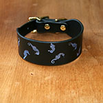 RTB Iridescent Seahorses Buckle Collar (1.5 wide)