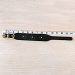 RTB Oriental Coral Buckle Collar (1.5 inch wide)