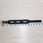 RTB Painted Silver Wings Buckle Collar (1.5 inch wide)