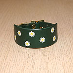 Daisy