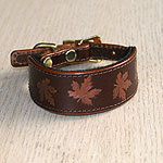 RTB Painted Maple Leaves Buckle Collar (small)