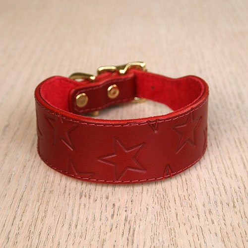 RTB Red Stars Buckle Collar (1.5 inch wide)
