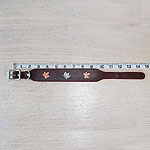 RTB Maple Concho Buckle Collar (2 inch wide)