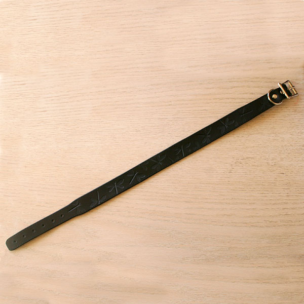 black-standard-collar-dragonflies_1