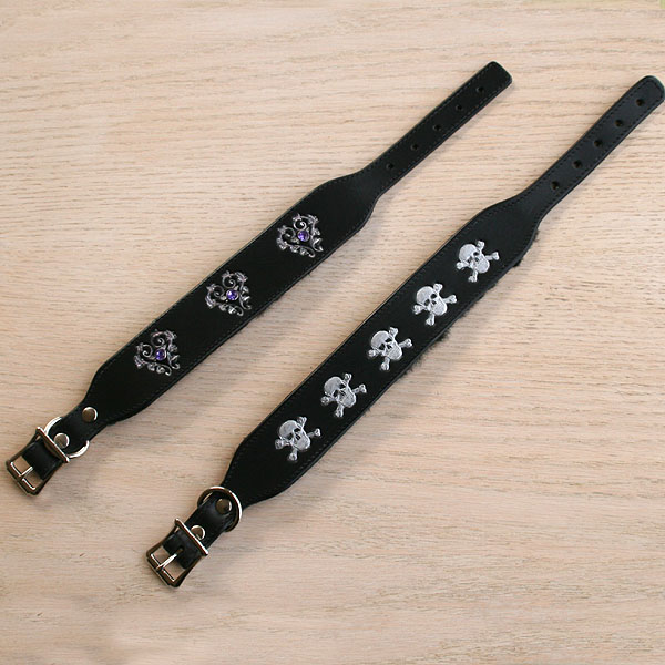 decorated-buckle-collars