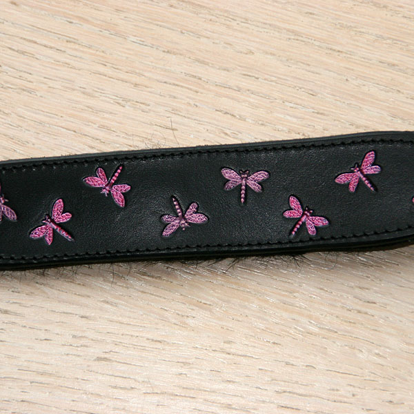 iggy-size-collar-test_4