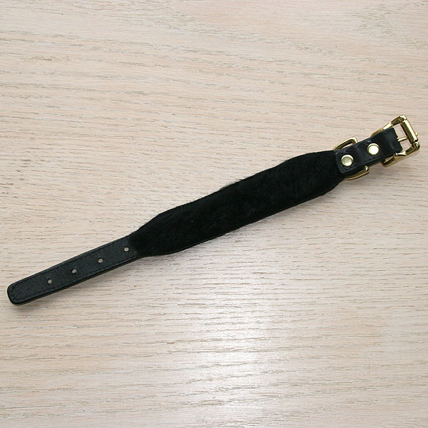 iggy-size-collar-test_5