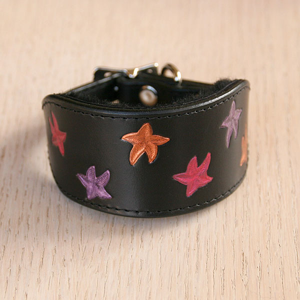 iggy-size-starfish-buckle-collar_1