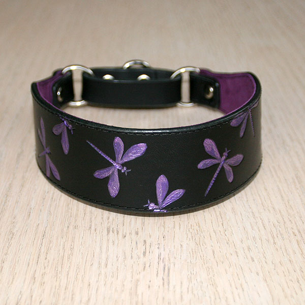 leather-buckle-collar-lead-set-irridescent-dragonfly-2-inch_4