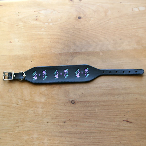 leather-buckle-collar-luxury-irises-2-inch_2