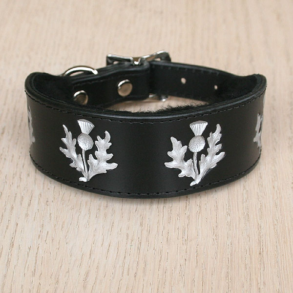 leather-buckle-collar-painted-thistles-1-5-inch-wide_1