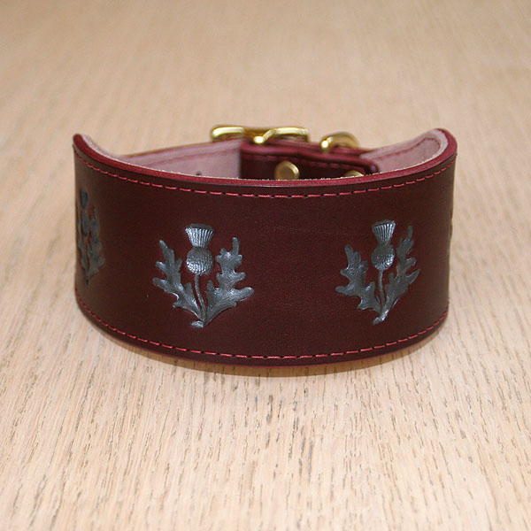 leather-buckle-collar-thistles-charcoal-burgundy-2-inch-wide_1