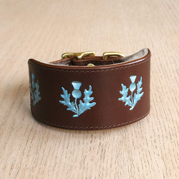 leather-buckle-collar-thistles-palebluegreen-chestnut-2-inch_1