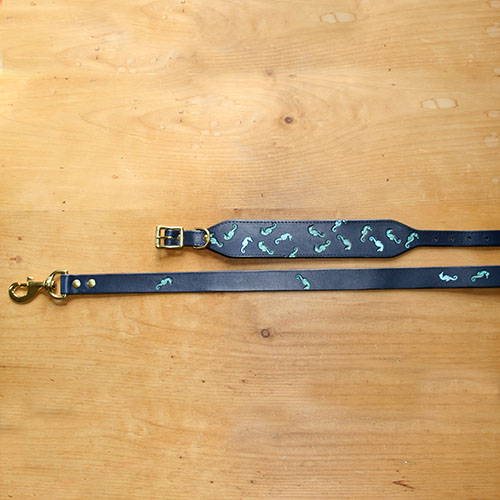 leather-colar-and-lead-set-random-seahorses-blue-1-inch_3