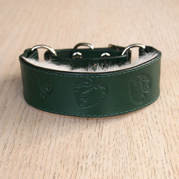 leather-martingale-collar-random-swirly-hearts-green-1-25-inch_1