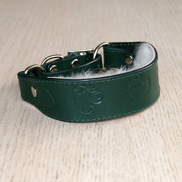 leather-martingale-collar-random-swirly-hearts-green-1-25-inch_2