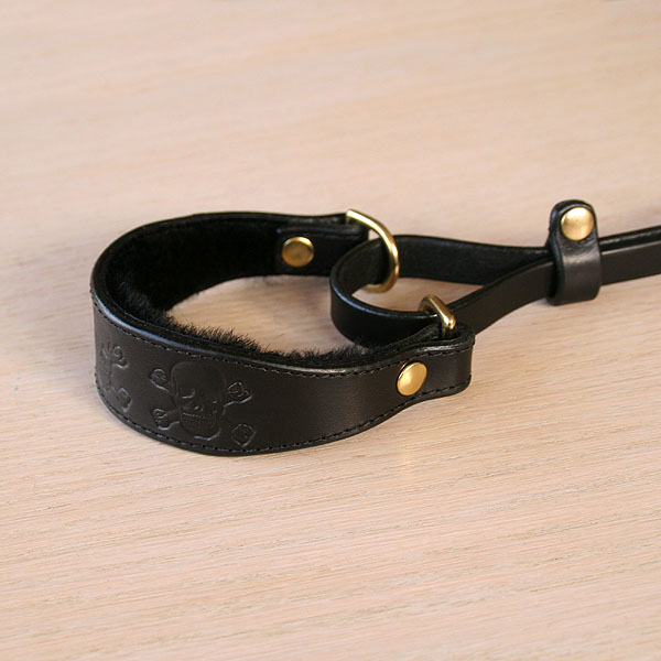 leather-martingale-collar-skulls-1-25-inch_2