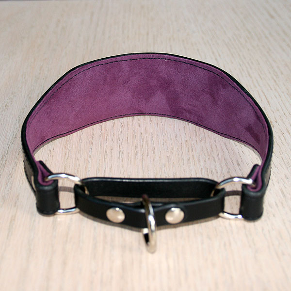 martingale-v2-purple-dragonflies_4