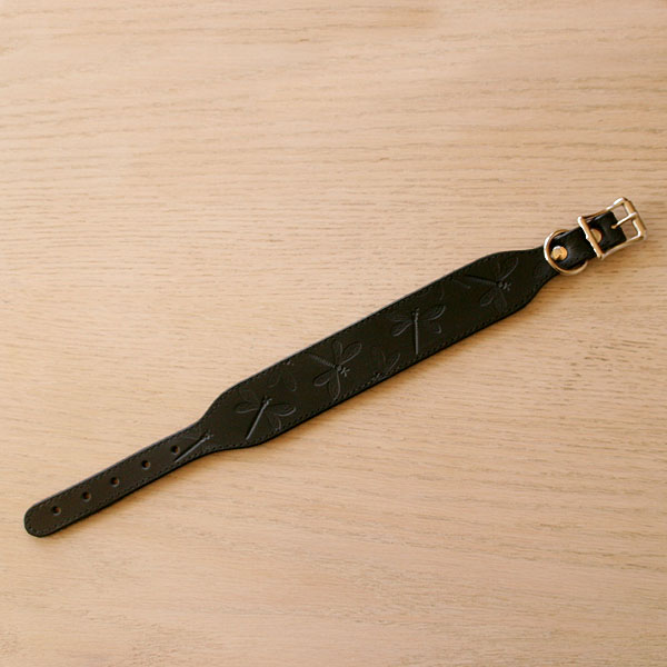 black-buckle-dragonflies_1