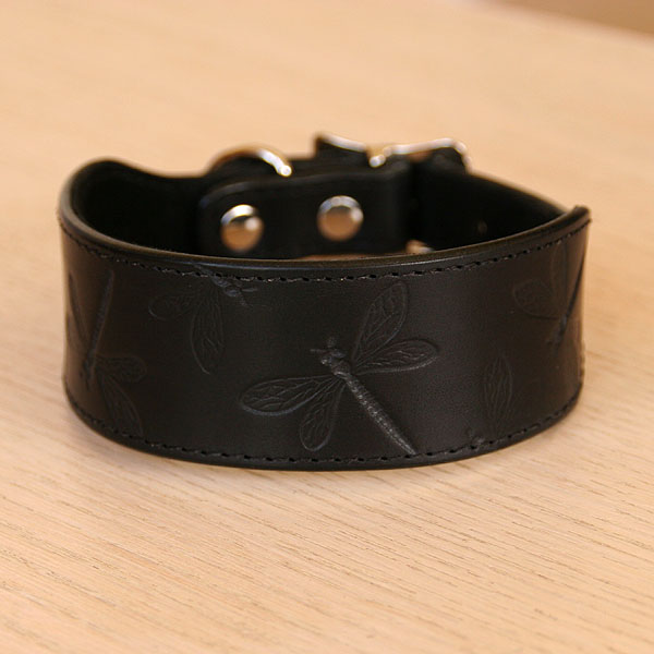 black-buckle-dragonflies_2