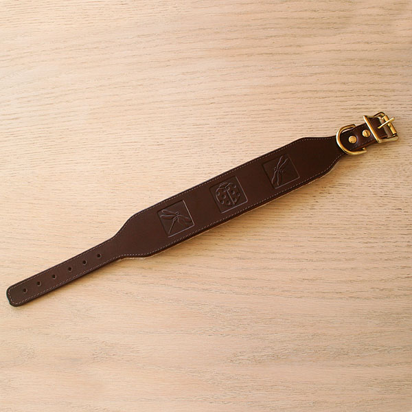 chestnut-ladybird-buckle_1