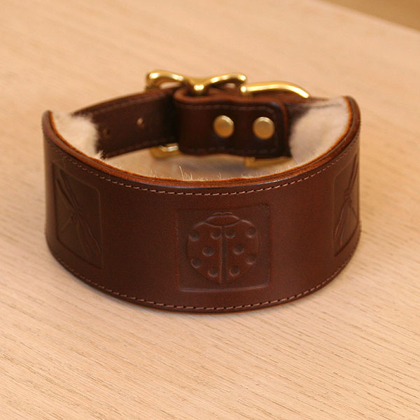 chestnut-ladybird-buckle_3