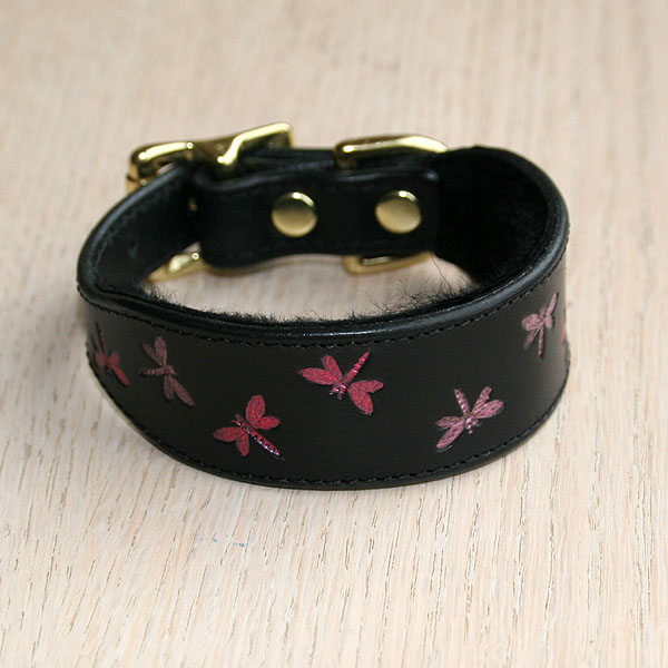 iggy-size-collar-test_1