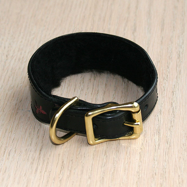 iggy-size-collar-test_2