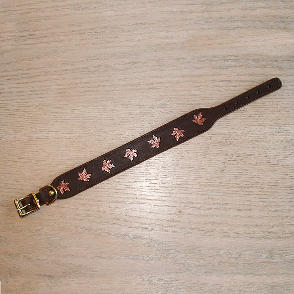 leather-buckle-collar-painted-maple-leaves-1-5-inch_2