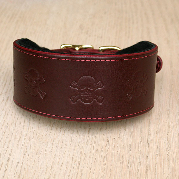leather-buckle-collar-skulls-burgundy-2-inch_1