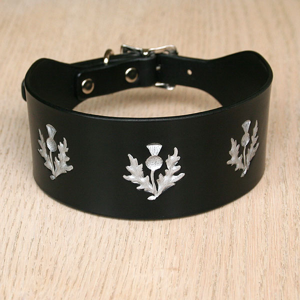 leather-buckle-collar-thistle-2-inch_1