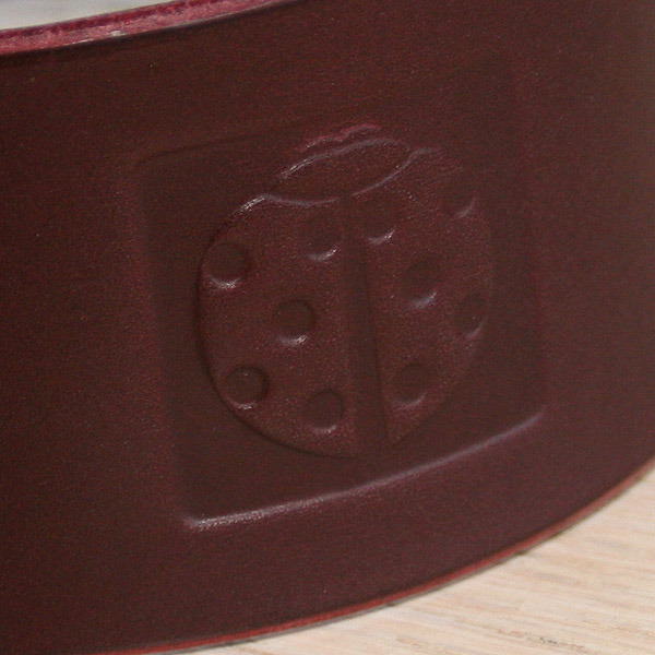 burgundy-ladybird-slip-4