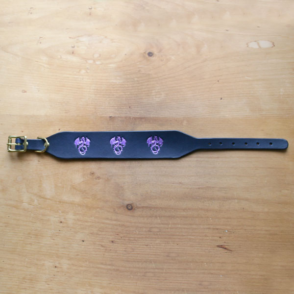 Painted Dragons Collar