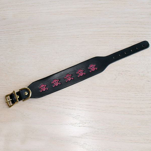 Painted Skulls Collar