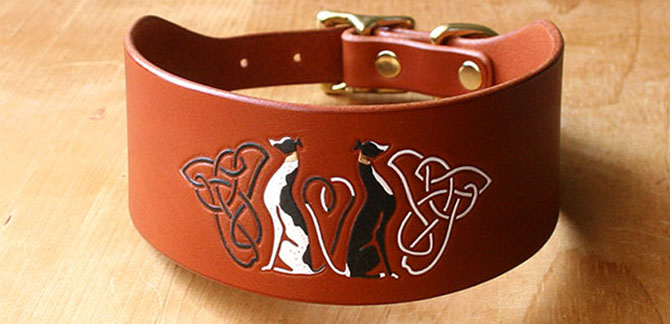 greyhound collar
