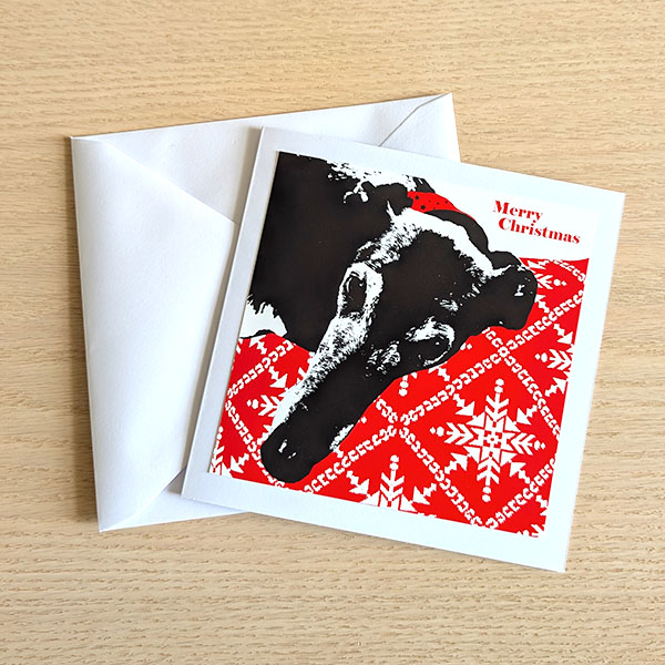 Christmas Greyhound (Set of 3)