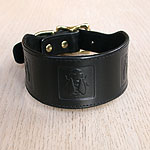 Boxed Bees Leather Buckle Collar (2 inch wide)