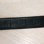 Boxed Bugs Leather Buckle Collar (2 inch wide)