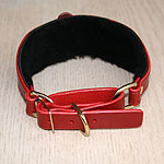 Attached Hearts Martingale Collar