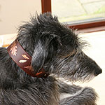 Oakleaves Martingale Collar