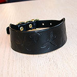 Dragonfly Buckle Collar