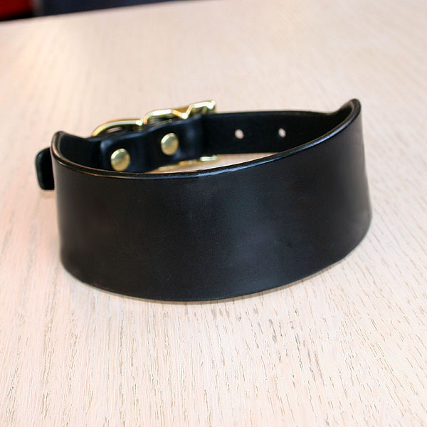 Buckle Collar (1.5 inch wide)