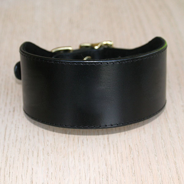 Buckle Collar (2 inch wide)