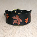 Painted Autumn Maple Leaves Leather Buckle Collar (2 inch wide)